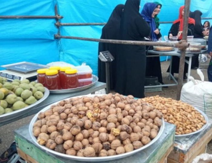 جشنواره گردو در خدابنده زنجان برگزار می‌شود | بازتاب امروز