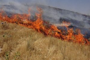 سوزاندن بقایای مزارع لرستان؛ تهدیدی برای سلامت عمومی | بازتاب امروز