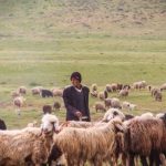 عشایر کرمانشاه تا ۳۰ آبان از ورود به مراتع قشلاقی خودداری کنند | بازتاب امروز