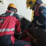 مرگ تلخ کارگر جوان در میکسر کارخانه سوسیس | بازتاب امروز