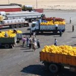 ممنوعیت‌ تردد مسافران و ‌کامیون‌های ‌صادراتی از مرز مهران تکذیب شد